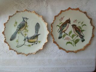 Set Of 2 Vintage Chadwick/miller Bird Plates