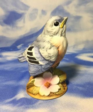 Adorable Andrea By Sadek Baby " Bluebird " Porcelain Bird Figurine 6350 Evc