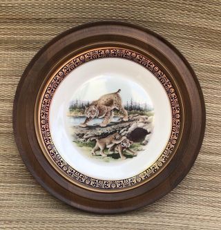 Boehm Lenox Woodland Wildlife 1979 Bobcats Gold Trim Wood Framed Plate
