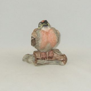 Boehm Porcelain Bird Sculpture " Fledgling Red Poll " 495