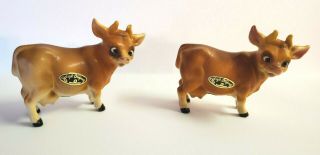 Josef Originals Vintage Set Of Two Miniature Brown Cows Figurines Japan W Labels