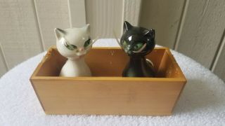 Vintage W Goebel Salt & Pepper Shakers | 2 Cats In A Trough