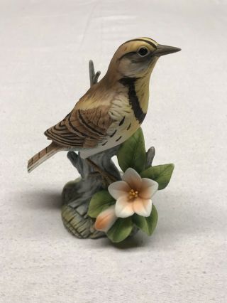 Vintage Andrea By Sadek Meadowlark Porcelain Bird Figurine 9386