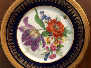 Vintage Limoges France Plate Veritable Porcelaine Dart Cobalt Blue/gold,  Flowers