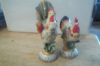 Vintage Rooster & Hen Salt & Pepper Shakers Set