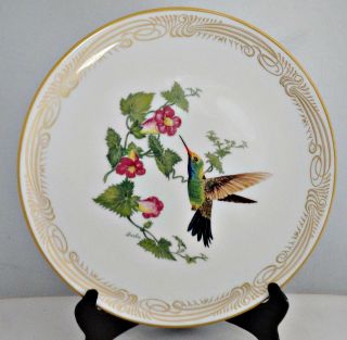 Broad - Billed Hummingbird Boehm Bone China Collector Plate And