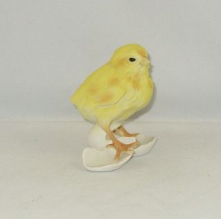 Kaiser Germany Porcelain Bird Sculpture " Baby Hatched Chicken " 506