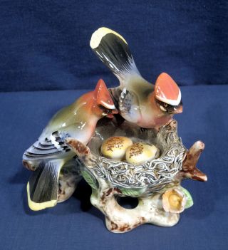 Vintage Antique Porcelain Bird Figurine Group Signed Waxwing Nest Eggs Birds