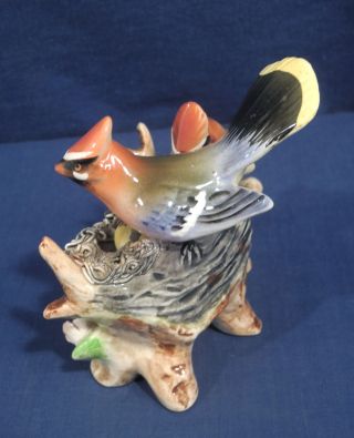 Vintage Antique Porcelain Bird Figurine Group Signed Waxwing Nest Eggs Birds 2