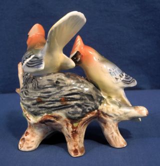 Vintage Antique Porcelain Bird Figurine Group Signed Waxwing Nest Eggs Birds 3