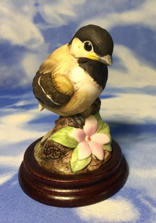 Adorable Andrea By Sadek Baby " Chickadee " Porcelain Bird Figurine 6350 Base Evc