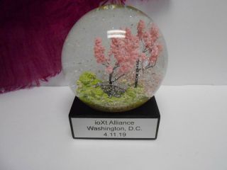 Crystal Ball Glass Water Snow Globe Spring Pink Cherry Blossoms CoolSnowGlobes 2