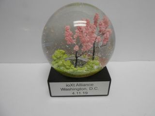 Crystal Ball Glass Water Snow Globe Spring Pink Cherry Blossoms CoolSnowGlobes 6
