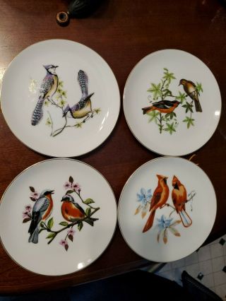 Set Of 4 Vintage Collectible Bird Plates By Chadwick Miller