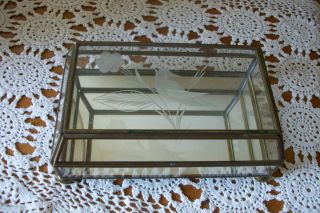 Vintage Brass and Glass Counter Display Case 2