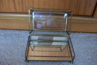 Vintage Brass and Glass Counter Display Case 3