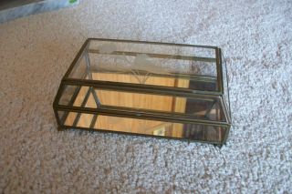 Vintage Brass and Glass Counter Display Case 4