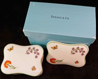Tiffany & Co Limoges France Tiffany Garden Porcelain Trinket Box With Blue Box