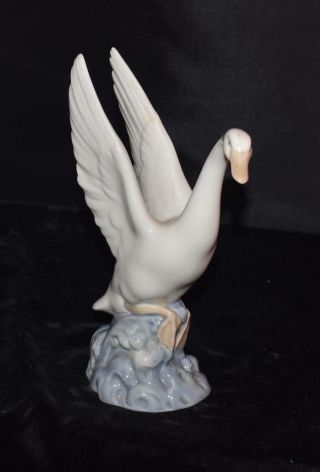 Nao Lladro Figurine " Swan Ready To Take Flight " - 8 " H -