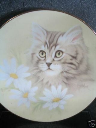 Petals And Purrs Spring Fever 1988 Cat & Daisies Ltd Ed Plate