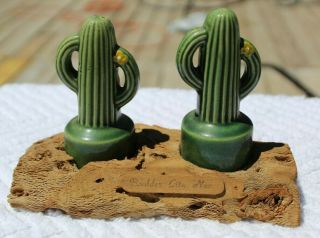 Vintage Realistic Cactus In Driftwood Stand Salt And Pepper Shakers - Japan