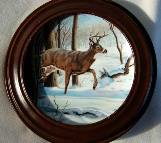 Dominion China Limited Edition Plates White - Tailed Deer W/frame By Paul Krapf