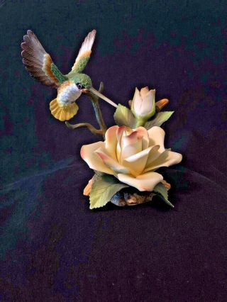 Hummingbird Figurine Andrea By Sadek Porcelain Hand Painted Rose 6 " X 6 "