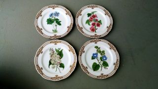 Vintage Set Of 4 Andrea By Sadek 8 1/4 " Golden Botanical Salad Dessert Plates