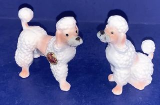 Ovely Htf Pair Vintage Poodle White With Pink Bone China Salt & Pepper Shakers