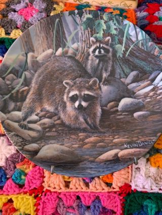 Knowles The Raccoon Friends Of The Forest By Kevin Daniel Plate 8.  5