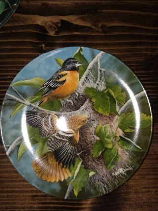 Edwin Knowles Birds Of Your Garden Baltimore Oriole Plate Kevin Daniels W/