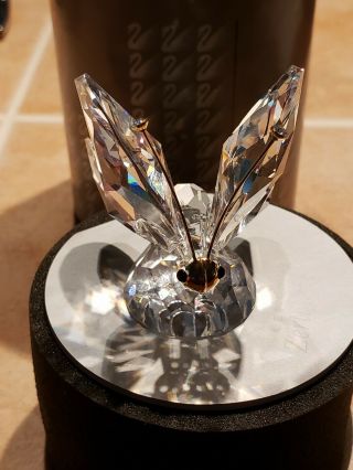 Swarovski Silver Crystal Butterfly,  Large 7644 Nr 055 000,  Orig Case &