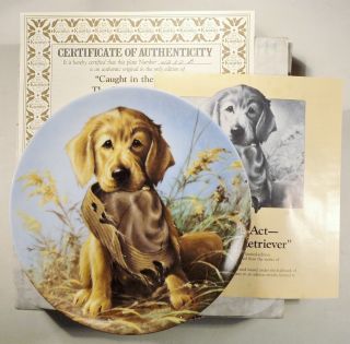 " Caught In The Act - The Golden Retriever " By Lynn Kaatz - Lmt Edt Plate -