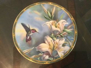 Ruby - Throated Humming Bird And Lilies Plate By Cyndi Nelson 1st Issue,  1989