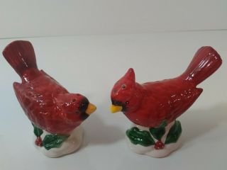 Christmas Winter Cardinal & Bird House Salt And Pepper Shakers Table Decor