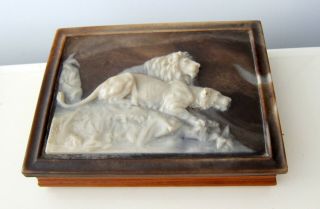Vintage Incolay Stone Wood Jewelry Box W/ Hand Carved Lions