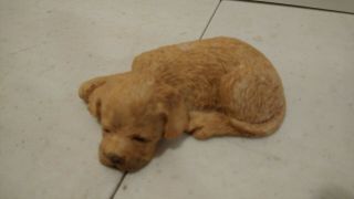Golden Retriever Tan Puppy Dog Figurine Sandicast Sleeping 3 "