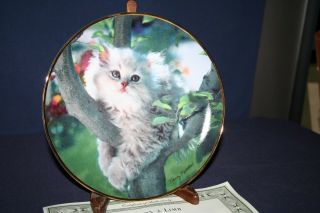 Out On A Limb Cat Plate By Nancy Matthews Franklin Heirloom &