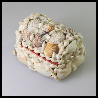 Vintage Old Seashells Shells Small Mini Jewellery Trinket Box Tray Casket Chest