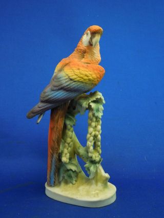 Lefton ' s China Bisque Porcelain Hand Painted Macaw Parrots Shelf Art KW1539B 2