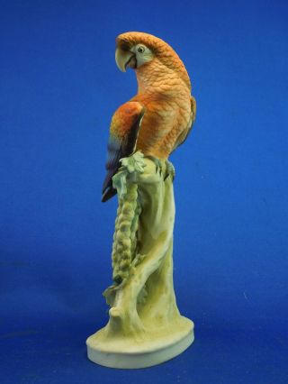 Lefton ' s China Bisque Porcelain Hand Painted Macaw Parrots Shelf Art KW1539B 3