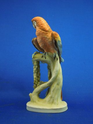 Lefton ' s China Bisque Porcelain Hand Painted Macaw Parrots Shelf Art KW1539B 4