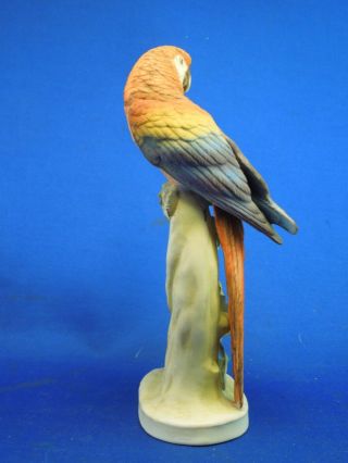 Lefton ' s China Bisque Porcelain Hand Painted Macaw Parrots Shelf Art KW1539B 5