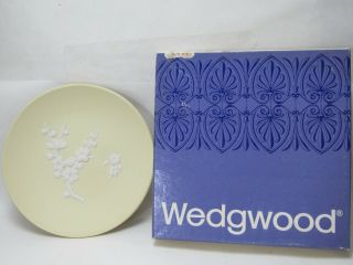 Wedgwood Yellow White Primrose Prunus Blossom Jasperware Dish