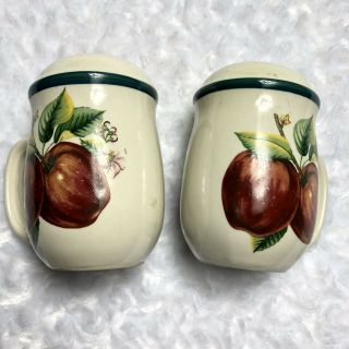 APPLE Decorative Themed Salt And Pepper Shakers Kitchen Table S/P 2