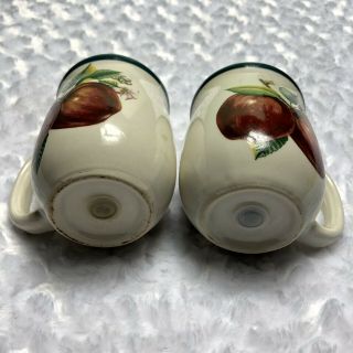 APPLE Decorative Themed Salt And Pepper Shakers Kitchen Table S/P 4