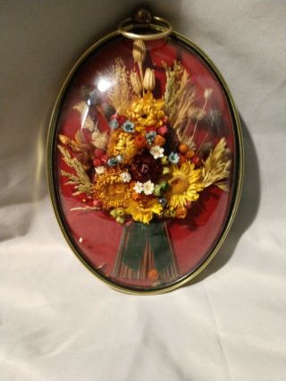 Vintage Cideart Convex Bubble Glass Dried Flower Wall Hangings Gold