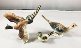 3 Pc.  Vintage Bone China Miniature Pheasant Family Figurines Japan,  Sticker Bird