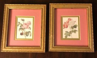 Vintage Homco? Gold Framed Pink Mat Rose Prints Set Of 2 Shabby Chic 8.  5”x7.  5”