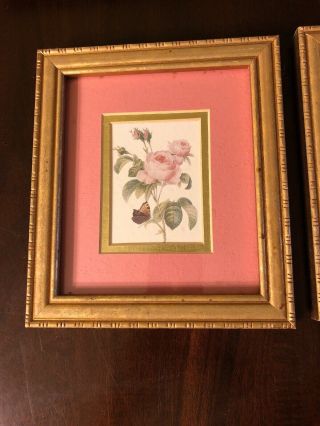 VINTAGE Homco? Gold Framed Pink Mat Rose Prints Set Of 2 Shabby Chic 8.  5”x7.  5” 2